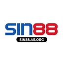 sin88aeorg1