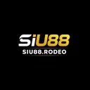 siu88rodeo1