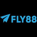fly88netcom1