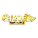 nc123bmobile1