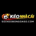 soikeobongdaso