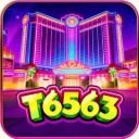 t6563org