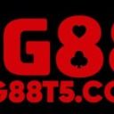 tg88t5com