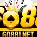 go881net1
