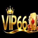 vip66vnnet