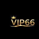 vip66vnorg