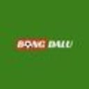 bongdaluguruu