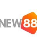new88vipbiz