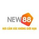 vnew88top