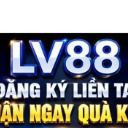 lv88llc