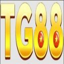 tg88z1com