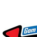 1gomservices