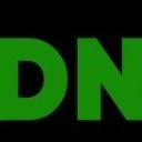 dn88gold
